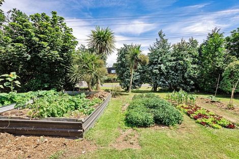 Photo of property in 3 Morton Street, Tuatapere, 9620