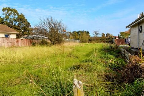 Photo of property in 12 Vera Street, Marton, 4710