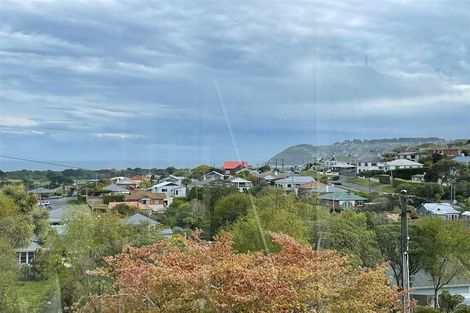 Photo of property in 51 Spottiswoode Street, Tainui, Dunedin, 9013