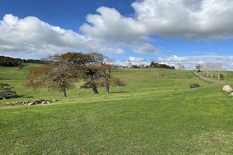 Photo of property in 182 Morrison Road, Arapohue, Dargaville, 0374