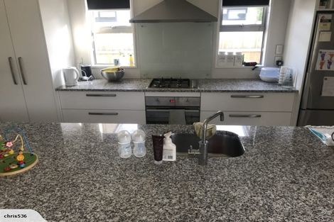 Photo of property in 6 Snowberry Street, Albert Town, Wanaka, 9305