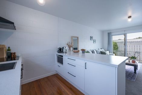 Photo of property in 3/145 Milton Street, The Wood, Nelson, 7010