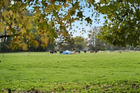 Photo of property in 364a Horotiu Road, Te Kowhai, Hamilton, 3288