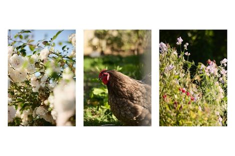 Photo of property in 19c Thames Road, Paeroa, 3600