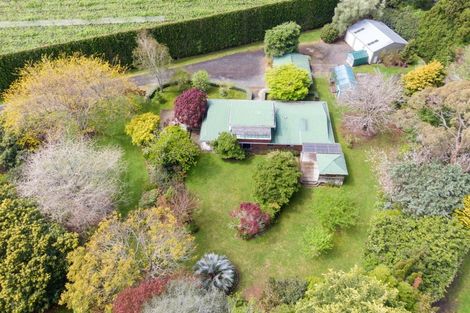 Photo of property in 21 Rea Road, Tahawai, Katikati, 3178