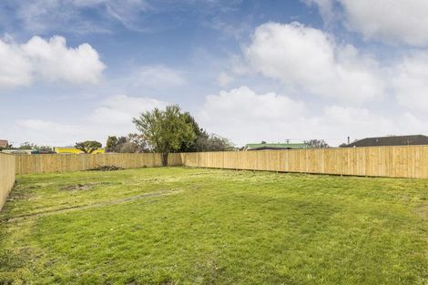Photo of property in 29a Mccorkindale Street, Feilding, 4702
