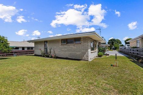 Photo of property in 115b Fourteenth Avenue, Tauranga South, Tauranga, 3112