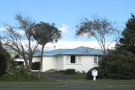 Photo of property in 162 Bartholomew Road, Levin, 5510