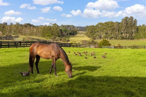 Photo of property in 145 Hanham Road, Kumeu, 0891