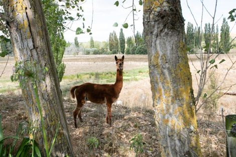 Photo of property in 2/82 Station Road, Takapau, Waipukurau, 4281