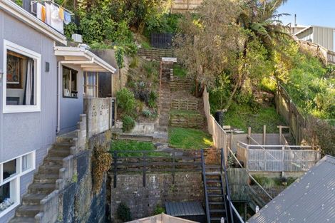 Photo of property in 56 Rolleston Street, Mount Cook, Wellington, 6021