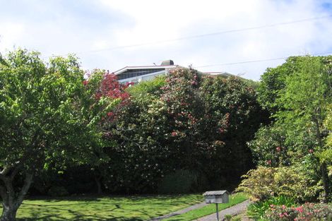 Photo of property in 8 Waihora Street, Taupo, 3330