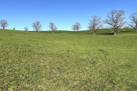 Photo of property in 233b Kio Kio Station Road, Otorohanga, 3974