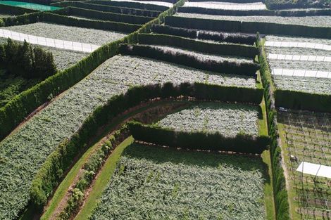 Photo of property in 84 Jensen Road, Omanawa, Tauranga, 3171