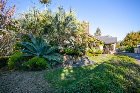 Photo of property in 12 Rowling Place, Leamington, Cambridge, 3432