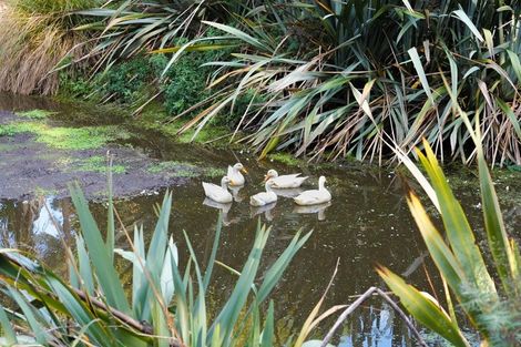 Photo of property in 168 Te Hapua Road, Te Horo, Otaki, 5581