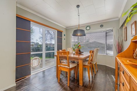 Photo of property in 19 Humphries Place, Awapuni, Palmerston North, 4412