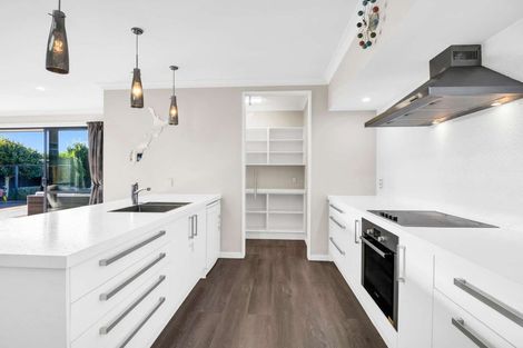 Photo of property in 19 Magnate Drive, Kaiapoi, 7630