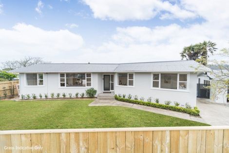 Photo of property in 49 Pitama Road, Awapuni, Palmerston North, 4412