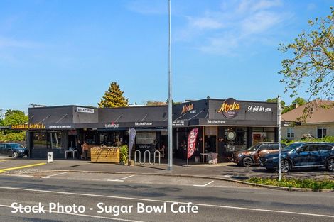 Photo of property in 91a Rimu Street, Maeroa, Hamilton, 3200