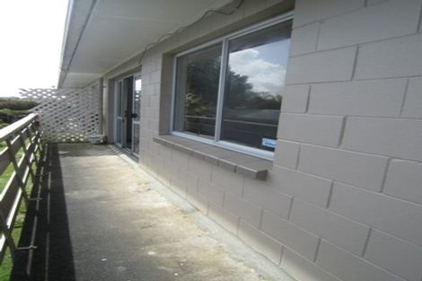 Photo of property in 45 York Street, Hamilton East, Hamilton, 3216