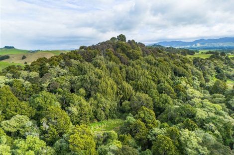 Photo of property in 137 Kiritaki Road, Dannevirke, 4972