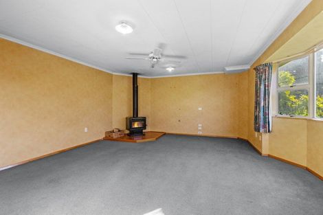 Photo of property in 28 Pery Street, Ranfurly, 9332