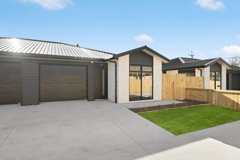 Photo of property in 17 Fend Street, Chartwell, Hamilton, 3210