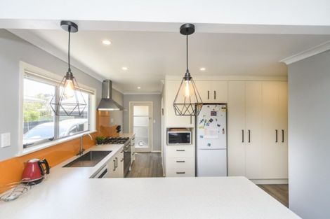 Photo of property in 17 Forbury Avenue, Takaro, Palmerston North, 4412