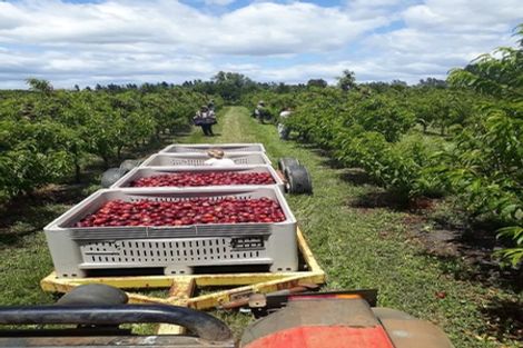 Photo of property in 17 Mccutchan Road, Otakiri, Whakatane, 3193