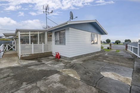 Photo of property in 25 Adkin Avenue, Levin, 5510
