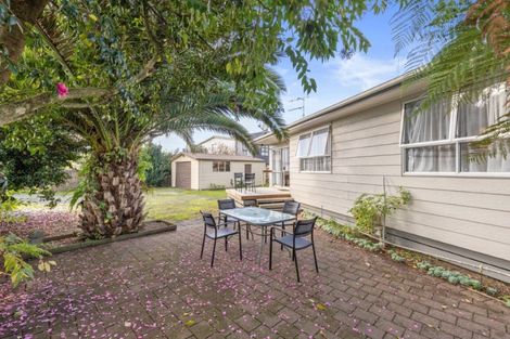 Photo of property in 55b Fifth Avenue, Enderley, Hamilton, 3214