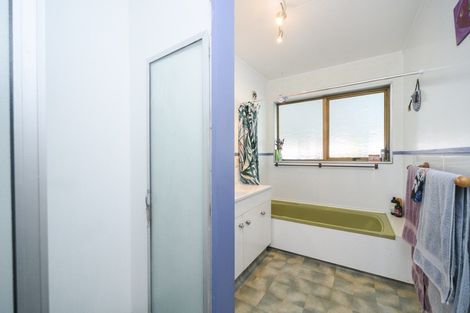 Photo of property in 135 Salisbury Street, Ashhurst, 4810