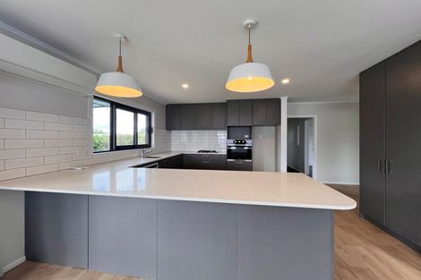 Photo of property in 66 Wellington Street, Pukekohe, 2120