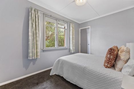 Photo of property in 113 Riselaw Road, Calton Hill, Dunedin, 9012