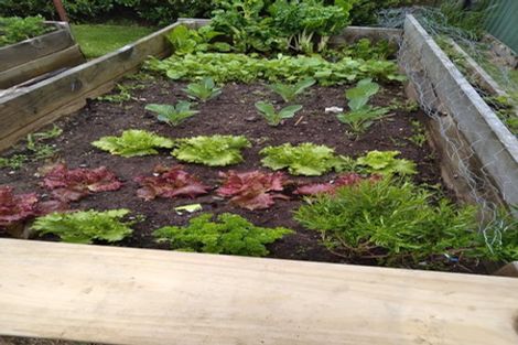 Photo of property in 15a William Street, Appleby, Invercargill, 9812