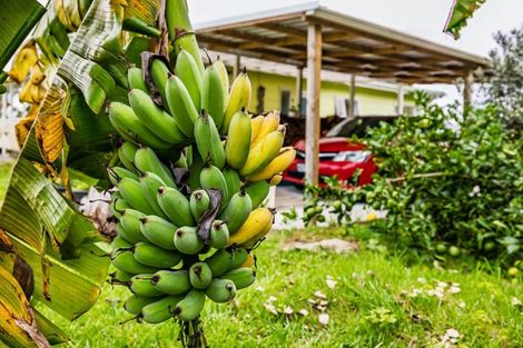 Photo of property in 115 Parnell Street, Rawene, Kaikohe, 0473