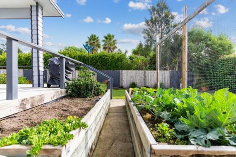 Photo of property in 61a Moir Street, Mangawhai, 0505