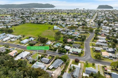 Photo of property in 123 Park Avenue, Whangamata, 3620
