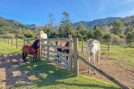 Photo of property in 387 Wentworth Valley Road, Whangamata, 3691