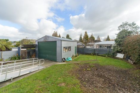 Photo of property in 33 Andrew Avenue, Roslyn, Palmerston North, 4414