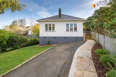 Photo of property in 113 Chapman Street, Wakari, Dunedin, 9010