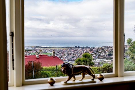 Photo of property in 119 Oakwood Avenue, Balaclava, Dunedin, 9011