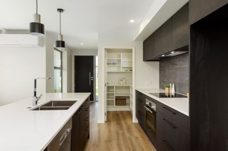 Photo of property in 24 Blacklock Road, Pyes Pa, Tauranga, 3112