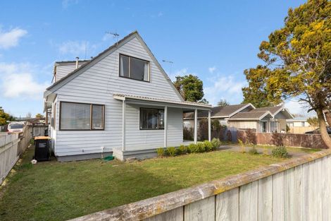 Photo of property in 47 Totara Road, Awapuni, Palmerston North, 4412