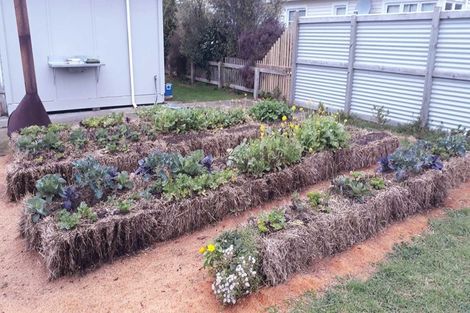 Photo of property in 25 Main Road, Tuatapere, 9620