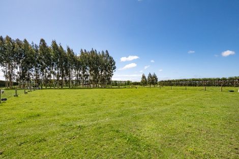 Photo of property in 21 Twyford Road, Twyford, Hastings, 4175