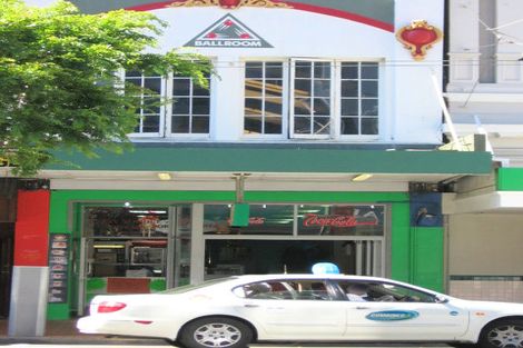 Photo of property in Maison Cabriole Building, 2/60 Courtenay Place, Te Aro, Wellington, 6011