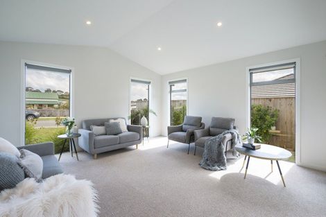 Photo of property in 41 Hart Road, Richmond, 7020