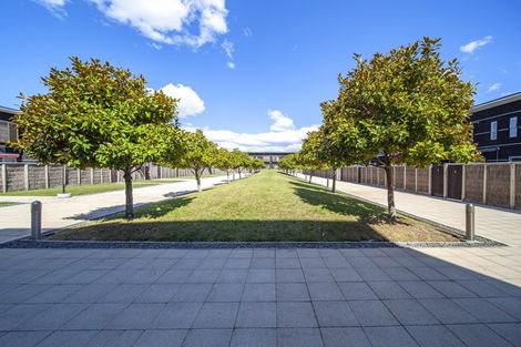 Photo of property in The Terraces, 37/9 Humber Street, Pandora, Napier, 4110